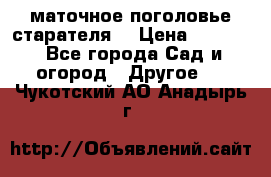 маточное поголовье старателя  › Цена ­ 3 700 - Все города Сад и огород » Другое   . Чукотский АО,Анадырь г.